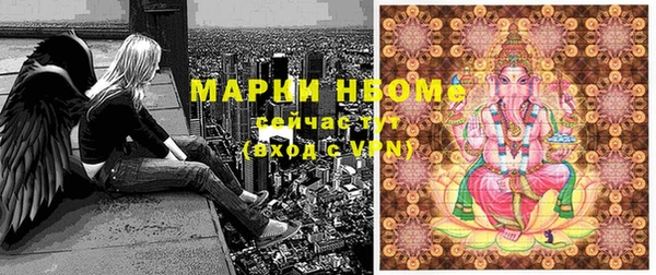 СК Богородск