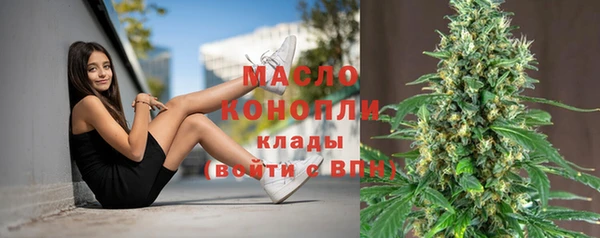 СК Богородск
