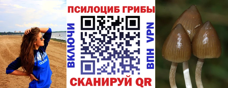 маркетплейс как зайти  Топки  Псилоцибиновые грибы Magic Shrooms 